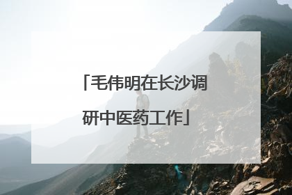 毛伟明在长沙调研中医药工作
