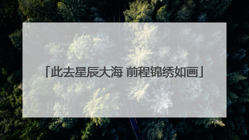 此去星辰大海 前程锦绣如画