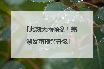 此刻大雨倾盆！芜湖暴雨预警升级