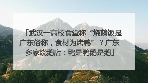 武汉一高校食堂称“烧鹅饭是广东俗称，食材为烤鸭”？广东多家烧鹅店：鸭是鸭鹅是鹅