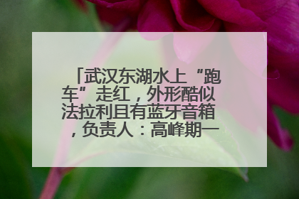 武汉东湖水上“跑车”走红，外形酷似法拉利且有蓝牙音箱，负责人：高峰期一两百人排队