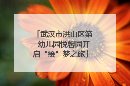 武汉市洪山区第一幼儿园悦馨园开启“绘”梦之旅