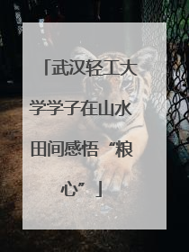 武汉轻工大学学子在山水田间感悟“粮心”