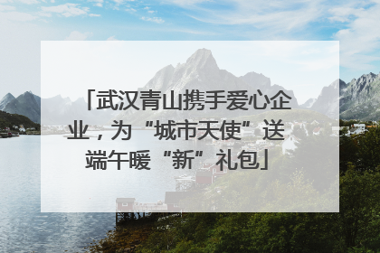 武汉青山携手爱心企业，为“城市天使”送端午暖“新”礼包