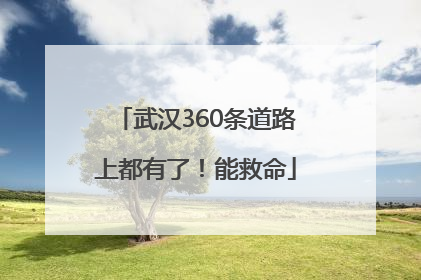武汉360条道路上都有了！能救命