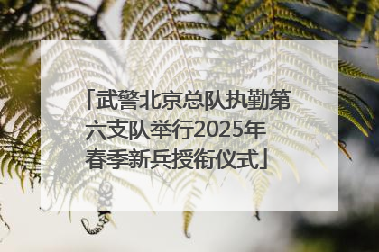 武警北京总队执勤第六支队举行2025年春季新兵授衔仪式