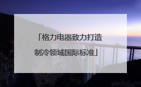 格力电器致力打造制冷领域国际标准