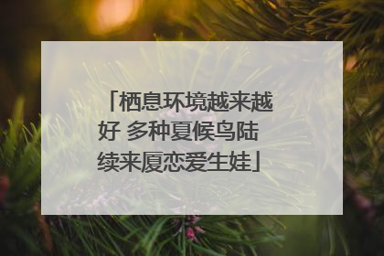 栖息环境越来越好 多种夏候鸟陆续来厦恋爱生娃
