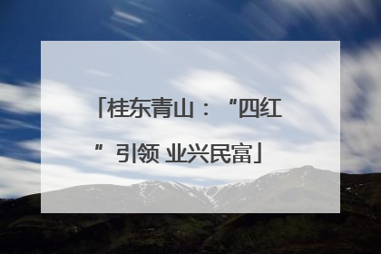 桂东青山：“四红”引领 业兴民富