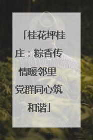 桂花坪桂庄：粽香传情暖邻里 党群同心筑和谐
