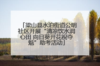梁山县水泊街道公明社区开展“清凉饮水润心田 向日葵开花祝夺魁”助考活动