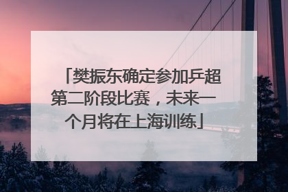 樊振东确定参加乒超第二阶段比赛，未来一个月将在上海训练