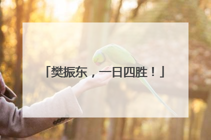 樊振东，一日四胜！