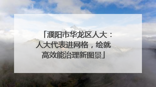 濮阳市华龙区人大：人大代表进网格，绘就高效能治理新图景