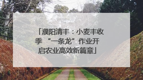 濮阳清丰：小麦丰收季 “一条龙”作业开启农业高效新篇章