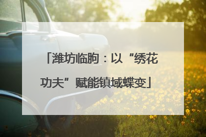 潍坊临朐：以“绣花功夫”赋能镇域蝶变