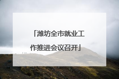 潍坊全市就业工作推进会议召开