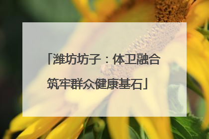潍坊坊子：体卫融合筑牢群众健康基石