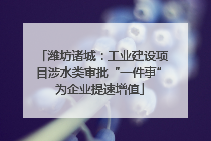 潍坊诸城：工业建设项目涉水类审批“一件事” 为企业提速增值