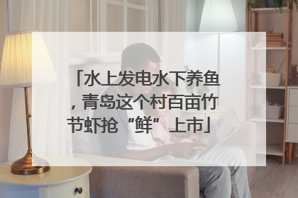 水上发电水下养鱼，青岛这个村百亩竹节虾抢“鲜”上市
