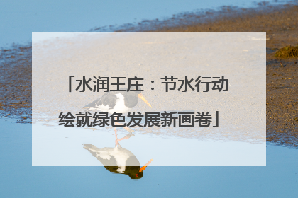 水润王庄：节水行动绘就绿色发展新画卷