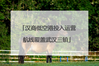 汉商低空港投入运营 航线覆盖武汉三镇