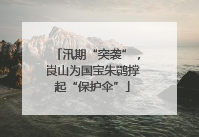 汛期“突袭”，崀山为国宝朱鹮撑起“保护伞”