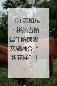 江苏如东：栟茶古镇端午解锁农文旅融合“新花样”