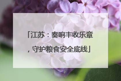 江苏：奏响丰收乐章，守护粮食安全底线