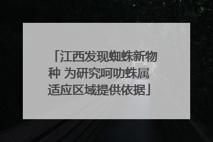 江西发现蜘蛛新物种 为研究呵叻蛛属适应区域提供依据
