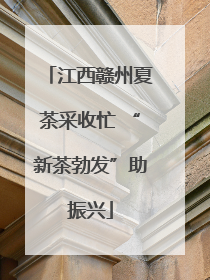 江西赣州夏茶采收忙 “新茶勃发”助振兴