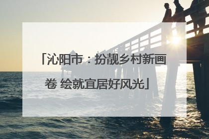沁阳市：扮靓乡村新画卷 绘就宜居好风光