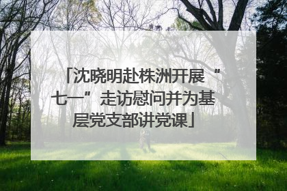 沈晓明赴株洲开展“七一”走访慰问并为基层党支部讲党课