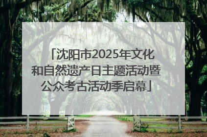 沈阳市2025年文化和自然遗产日主题活动暨公众考古活动季启幕