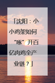 沈阳：小小鸡架如何“啄”开百亿肉鸡全产业链？
