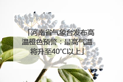 河南省气象台发布高温橙色预警：最高气温将升至40℃以上