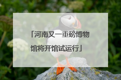 河南又一重磅博物馆将开馆试运行