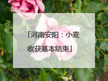 河南安阳：小麦收获基本结束