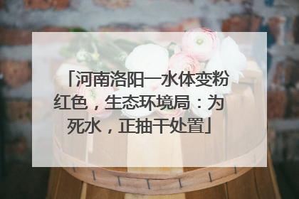 河南洛阳一水体变粉红色，生态环境局：为死水，正抽干处置