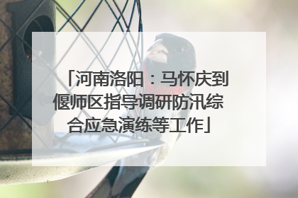 河南洛阳：马怀庆到偃师区指导调研防汛综合应急演练等工作