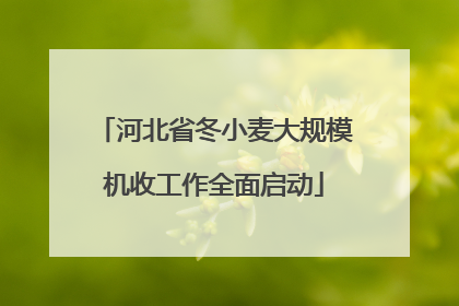 河北省冬小麦大规模机收工作全面启动