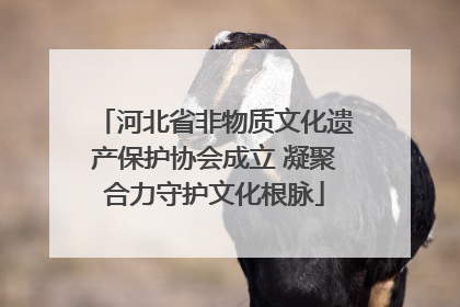 河北省非物质文化遗产保护协会成立 凝聚合力守护文化根脉