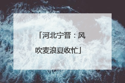河北宁晋：风吹麦浪夏收忙