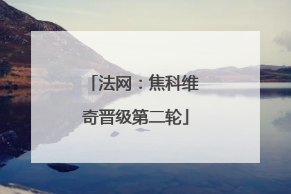 法网：焦科维奇晋级第二轮