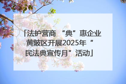 法护营商 “典”惠企业 黄陂区开展2025年“民法典宣传月”活动