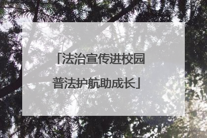 法治宣传进校园 普法护航助成长