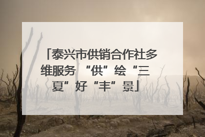 泰兴市供销合作社多维服务 “供”绘“三夏”好“丰”景