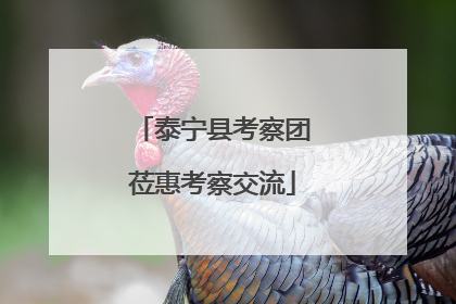 泰宁县考察团莅惠考察交流