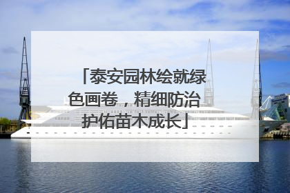 泰安园林绘就绿色画卷，精细防治护佑苗木成长