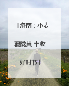 洛南：小麦覆陇黄 丰收好时节